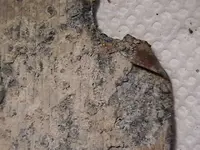 IMGA2453.webp IMGA2453.webp