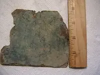 IMGA2454.webp