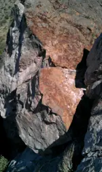 IMAG0391.webp
