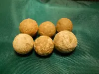 DSCN2269.webp