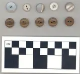 buttons.webp