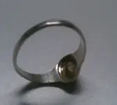 ring back cropped.webp