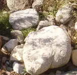 rocks.webp