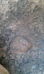 IMAG0313.webp