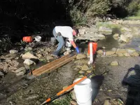 Cajon Creek 012.webp