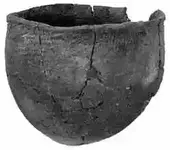 Colington.webp