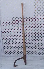 vpeavya.webp