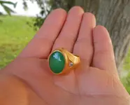 DSCN5317.webp