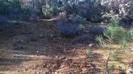 LONG WALK 1.webp