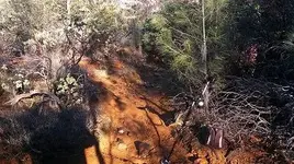 LONG WALK 4.webp