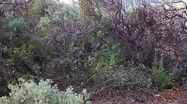 LONG WALK 6.webp