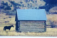 Barns 017.webp