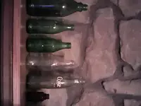 1354068149913.webp