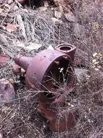 image-770222828.webp
