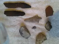 ForumRunner_20121229_192741.webp