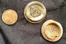 livingston-buttons-tbd.webp