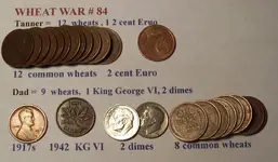 Wheat War 84.webp