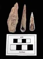 archaiccopperW.webp
