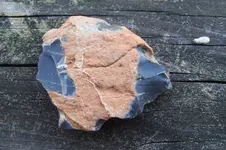 100_2445.webp