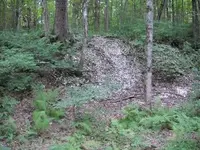 DSCN1276.webp