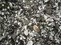 DSCN1279.webp