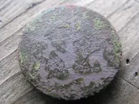 1stvnickle.webp