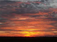 Sunset.webp