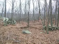 DEC 29TH 92ND COPPER 1787 VERMONT 006.webp