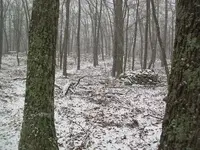 DEC 29TH 92ND COPPER 1787 VERMONT 007.webp