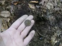 DEC 29TH 92ND COPPER 1787 VERMONT 005.webp