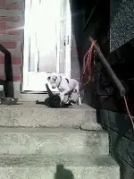 1335797185990.webp