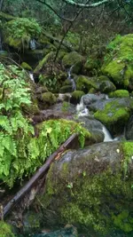 IMG_20121225_160200_053.webp IMG_20121225_160200_053.webp