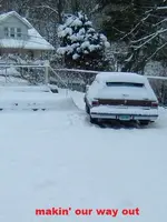 DSCF1912.webp