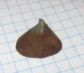 1 Site O Lead Weight Flat.webp