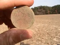 Eastern Shore 11-30-2012 018.webp