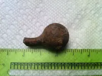 bulb1.webp
