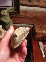 image-1713494027.webp