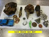 1112BAYNUT.webp