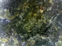 Still0009.webp
