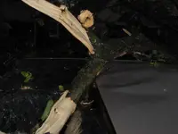 sunroof outside.webp