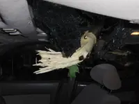sunroof inside.webp