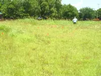 S3010603.webp