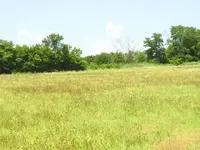 S3010604.webp
