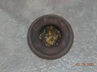 DSCN5781.webp