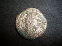 CIMG5420.webp