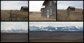 123.webp