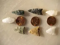 smallest.webp