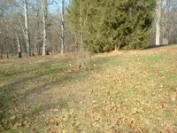 Picture 043.webp