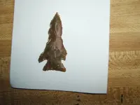 DSCF2612.webp
