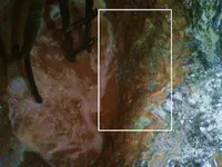 Image0475_2LG.webp
